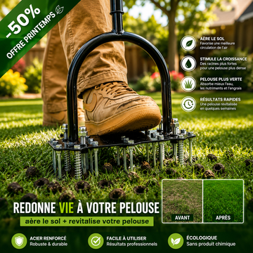 Aérateur de pelouse 2-en-1