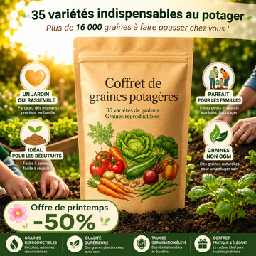 Coffret Potager Essentiel